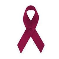 Hodgkin's Lymphoma ribbon magnets - Support Store