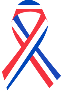 Flag Day - Support Store