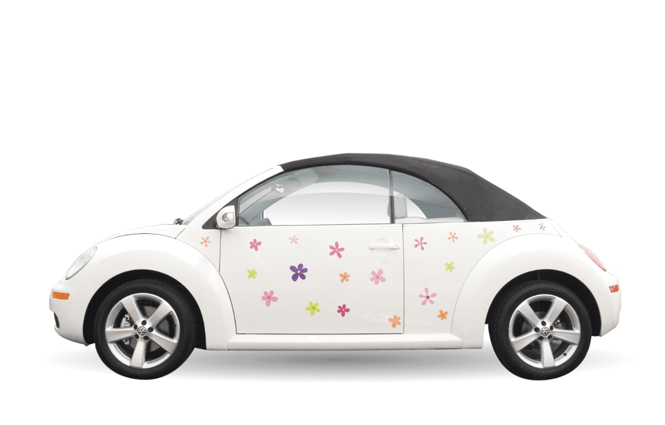 Crazy Daisies Flower Car Magnet Set - Support Store
